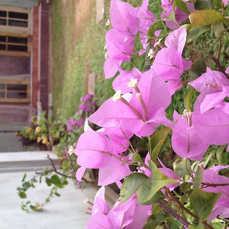 Manik Home Stay Kudapaduwa Buitenkant foto