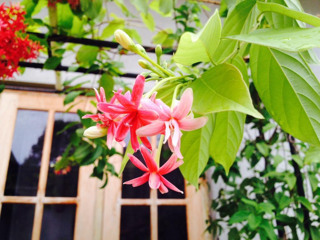 Manik Home Stay Kudapaduwa Buitenkant foto